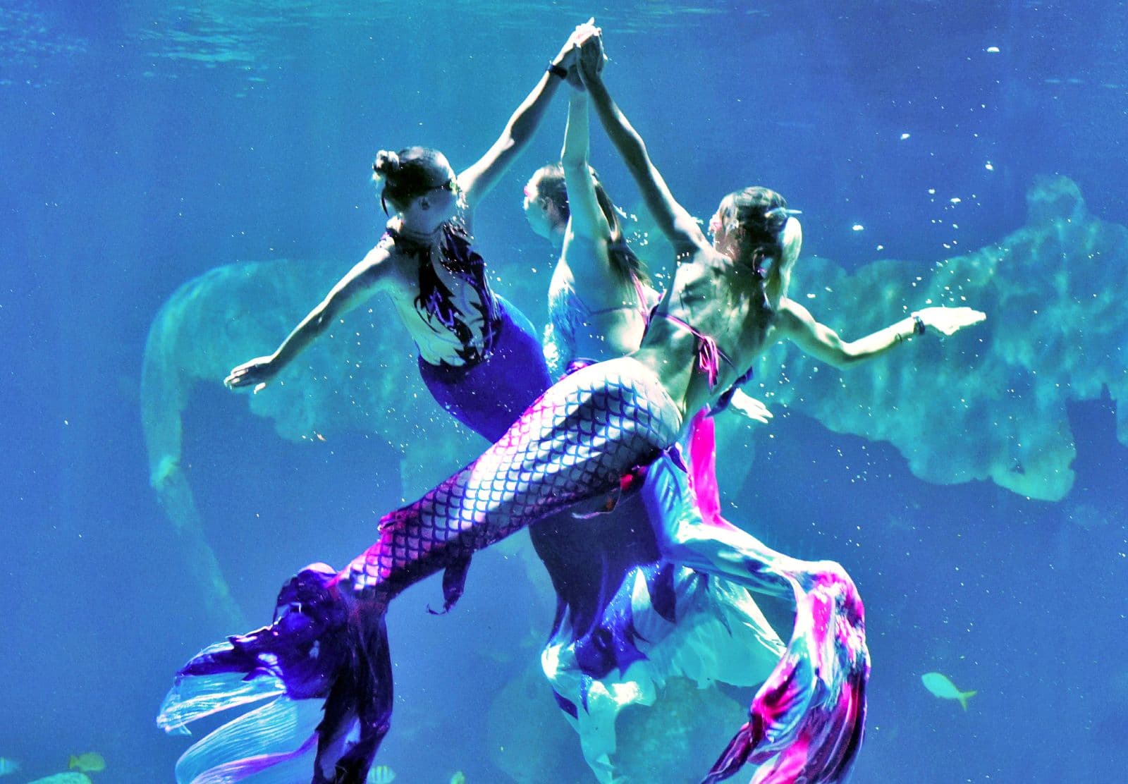 Aquaria Phuket in Thailand
