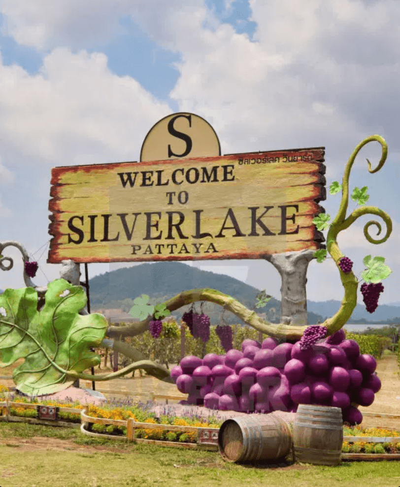 Silverlake Vineyard in Thailand