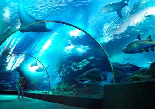 Sea Life Bangkok in Thailand